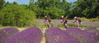 location vélo vaucluse isle sur la sorgue magasin vélo